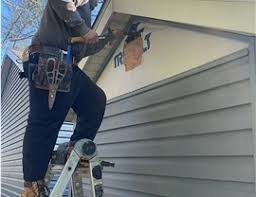 Best Siding Painting and Refinishing  in USA